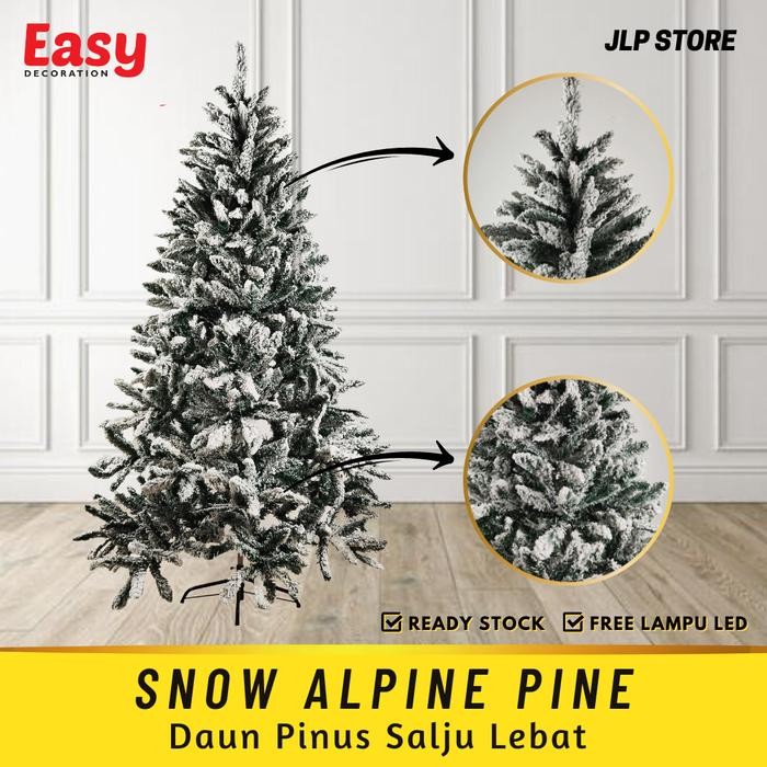 Pohon Natal Besar Tinggi 2 Meter 210 Cm 7 Feet Pinus Pine