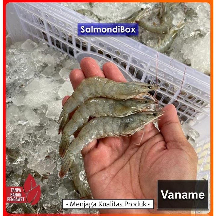 Eat77- Udang Vaname Fresh Size 40-50 Ekor/Kg Kemasan