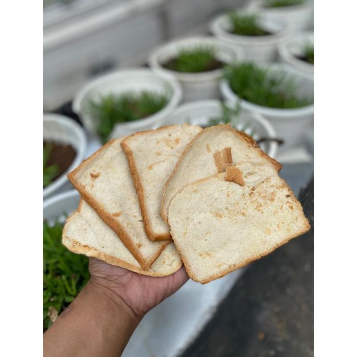 pakan ternak Pakan ternak Roti BS ayam unggas lele ikan jangkrik