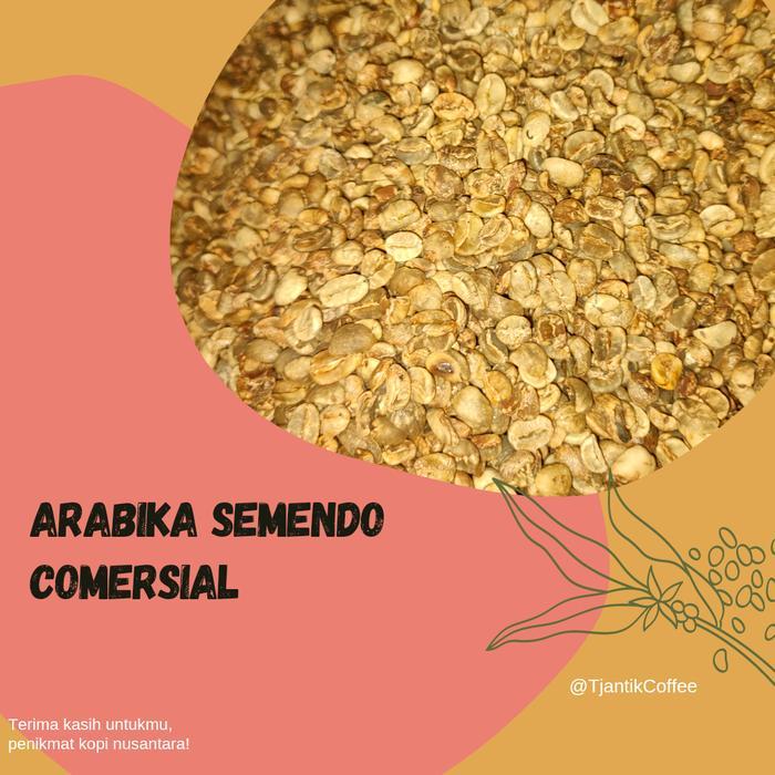 Green Bean Arabika Semendo Dryhull Prosess Komersial Grade Terbaru