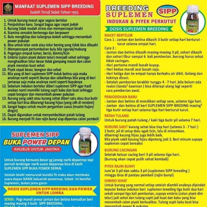 Chocolatoslatoe Suplemen Sipp Perkutut Power Jantan Dan Breeding Indukan