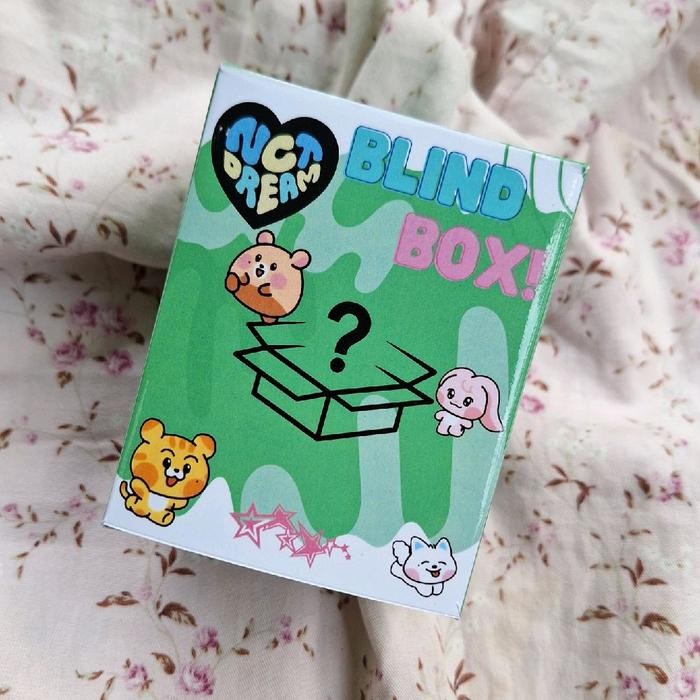 BLIND BOX NCT Dream x line friends keychain doll dan acrylic