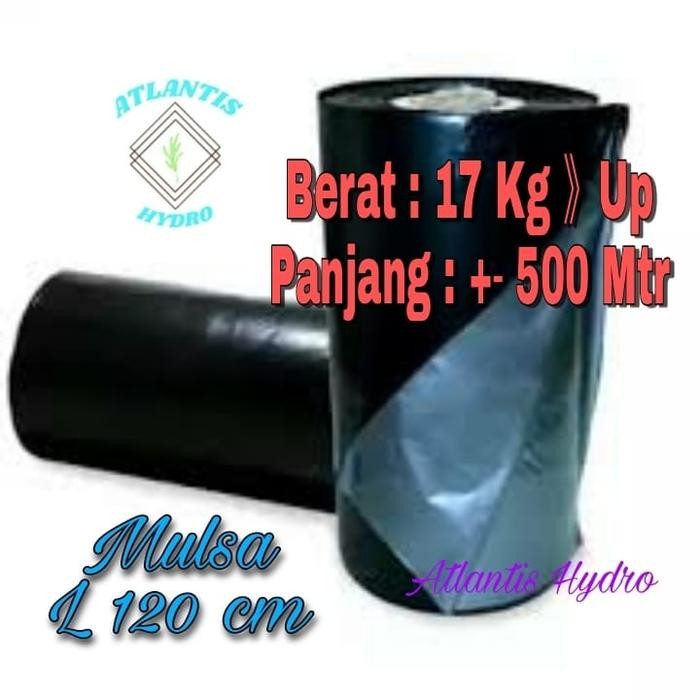Plastik Mulsa Lebar 1,2 M Panjang 500 M ( 1 Roll ) Murah 
