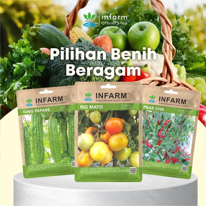 ID INFARM - BENIH BIBIT UNGGUL TOMAT BUAH BIBIT TOMAT BIG MATO BIBIT TOMAT BUAH BESAR BENIH TOMAT
