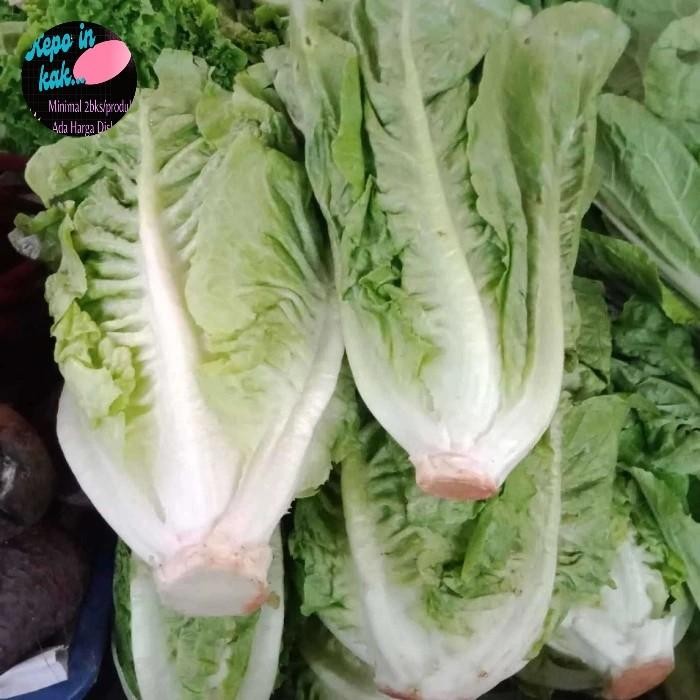 Segar&amanah- Selada Romen 1 Kg / Romaine Lettuce Sayuran Segar