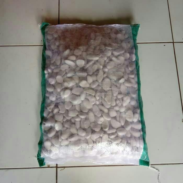 Batu koral putih 10kg - batu koral putih untuk hiasan taman