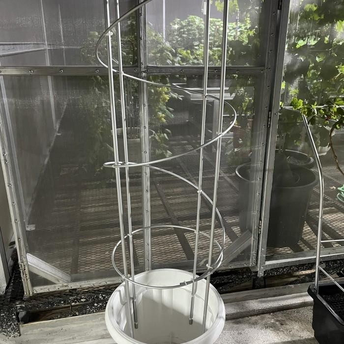 

RAMBATAN ANGGUR MODEL SPIRAL 4 TIANG 150CM by TAMAN ANGGUR PONJAY