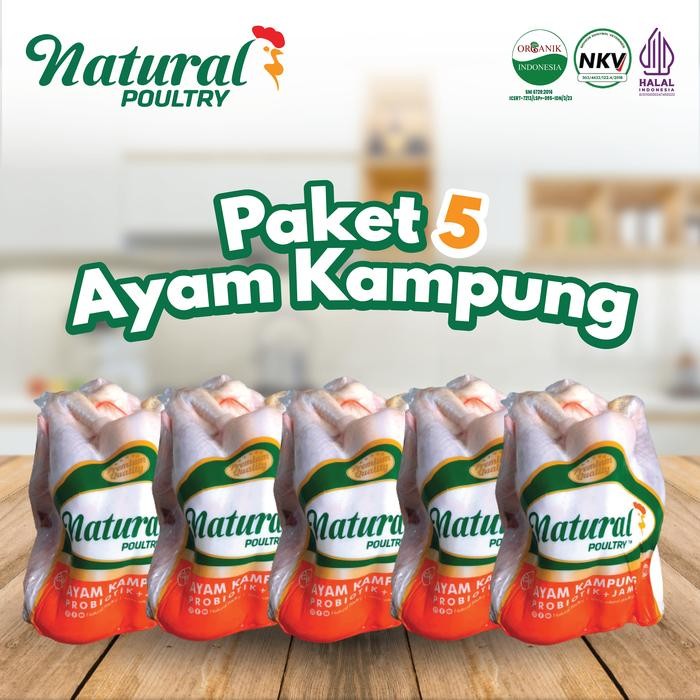 

Pilihan- Ayam Kampung Natural Poultry (700-800 Gram) Paket 5 Ayam Kampung