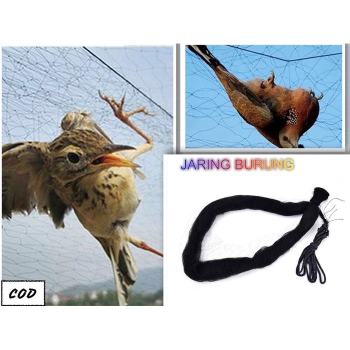Pilihan- Jala Burung Pukat Burung Jebakan