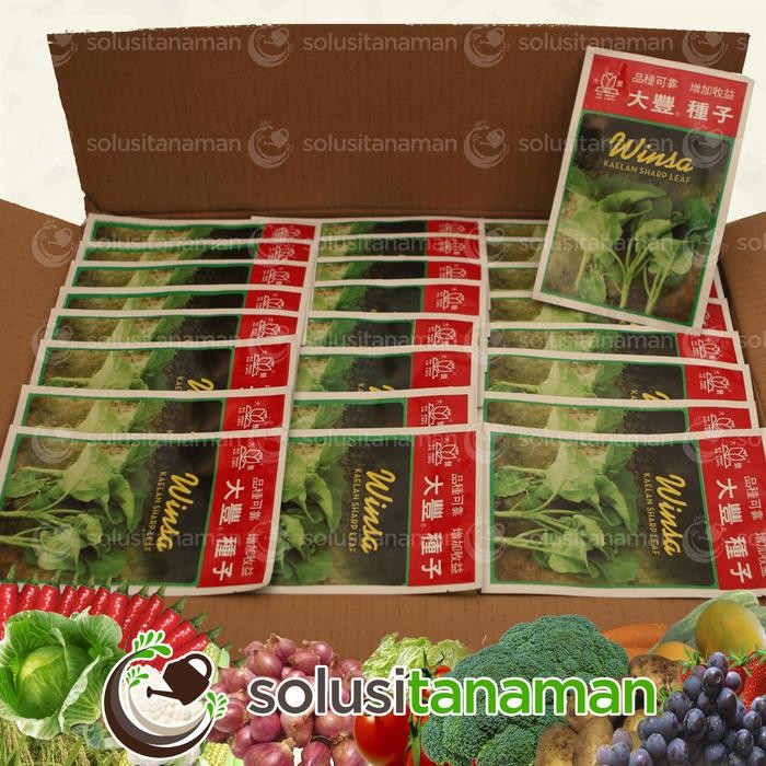 ID BENIH SAYURAN KAILAN KALE @20GR - BIJI BIBIT SAYUR TANAMAN HIDROPONIK