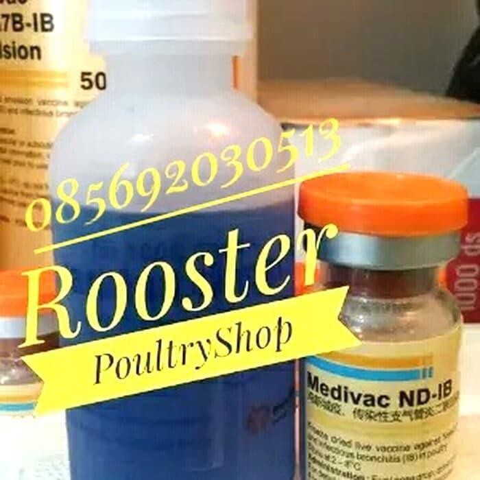 Vaksinasi Vaksin Ayam Nd Ib Dosis Untuk 1000 Ekor Ayam Tbk