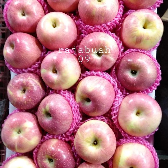 Buah Apel Fuji Fresh / Buah Apel 1 Kg