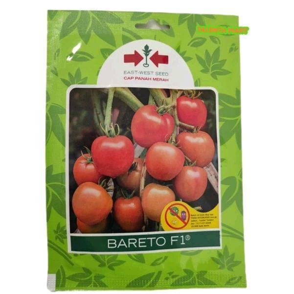 Rupa_Bagus 150 . Benih Tomat Bareto F1