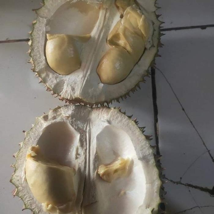 

DURIAN WONOSOBO