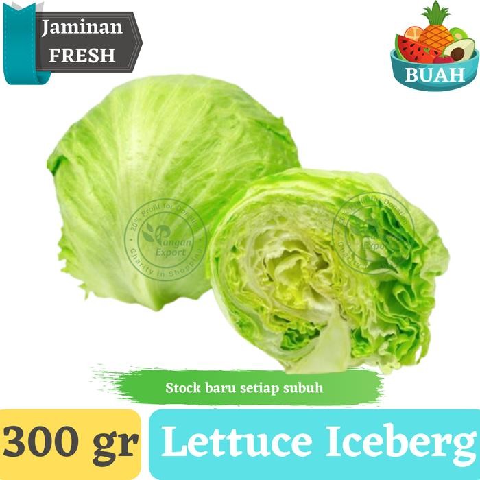 

Pilihan- Lettuce Iceberg 300 Gram Selada Bokor Fresh Tinggi Serat