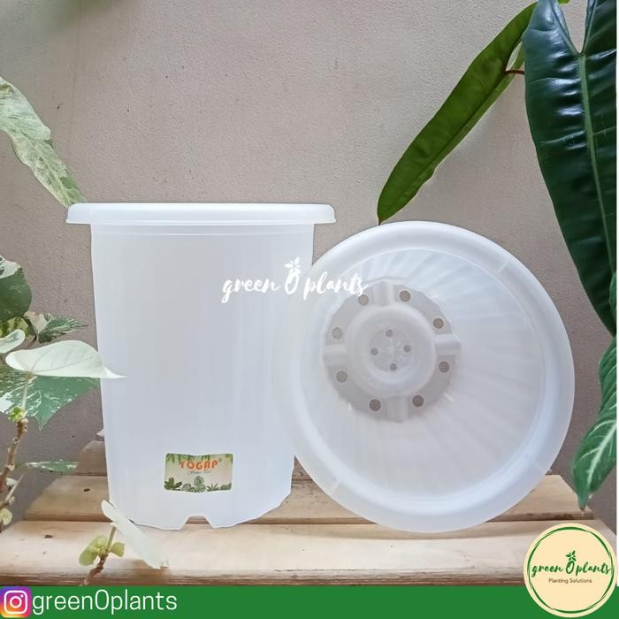 Grosir Pot Yogap YPT 17 Transparan Lusinan