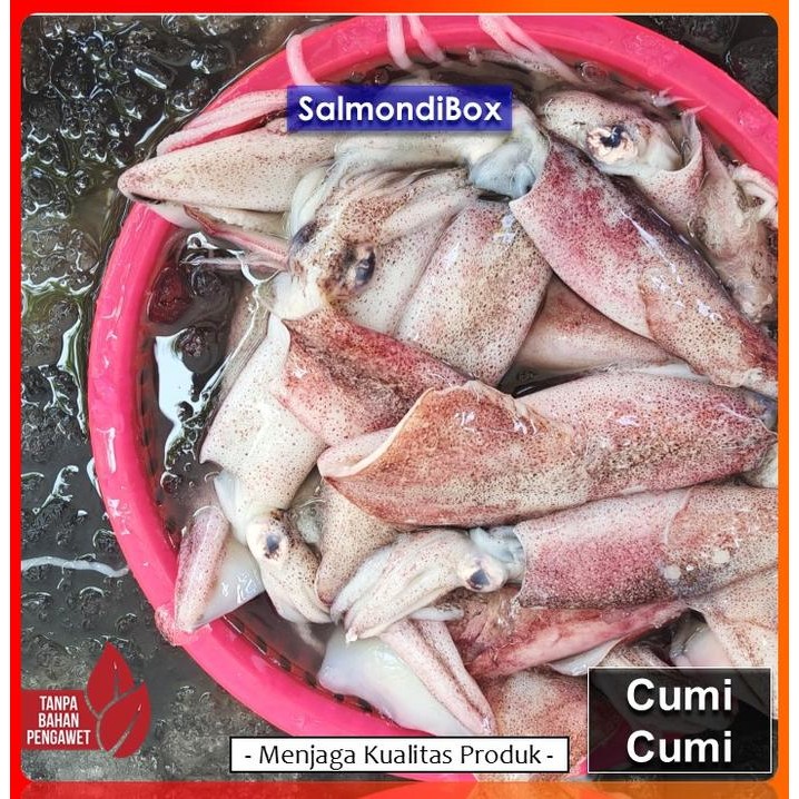

Pilihan- Cumi Cumi Fresh - Sero Isi 12-16 Ekor/Kg