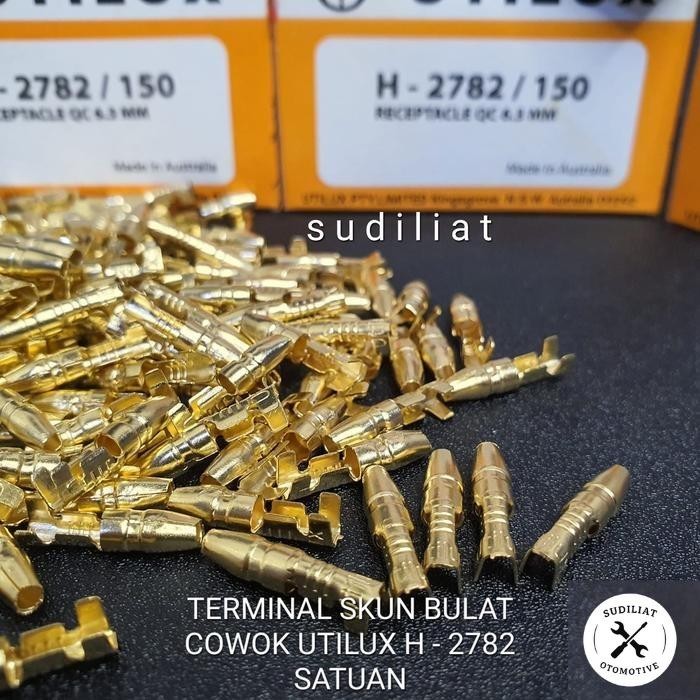 TERMINAL SKUN UTILUX COWOK BULAT / MALE H-2782 SATUAN