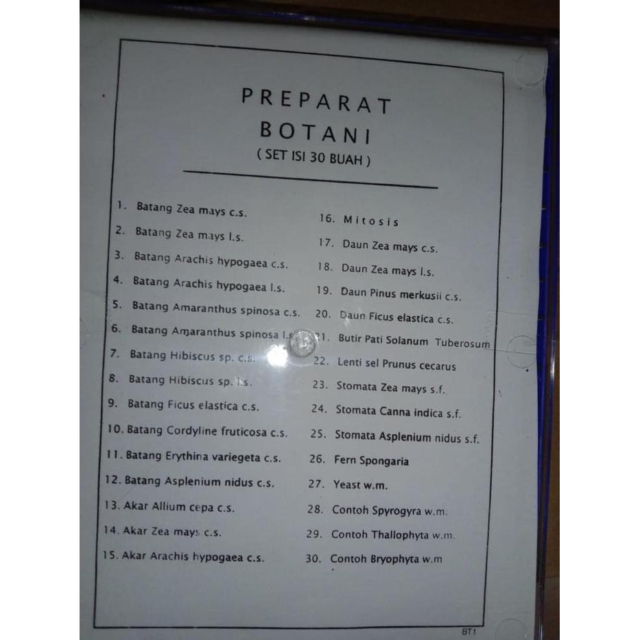 PREPARAT BOTANI // MIKROSKOP // PREPARAT TUMBUHAN 30 BUAH