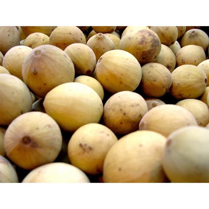 BUAH DUKUH PALEMBANG MANIS SUPER