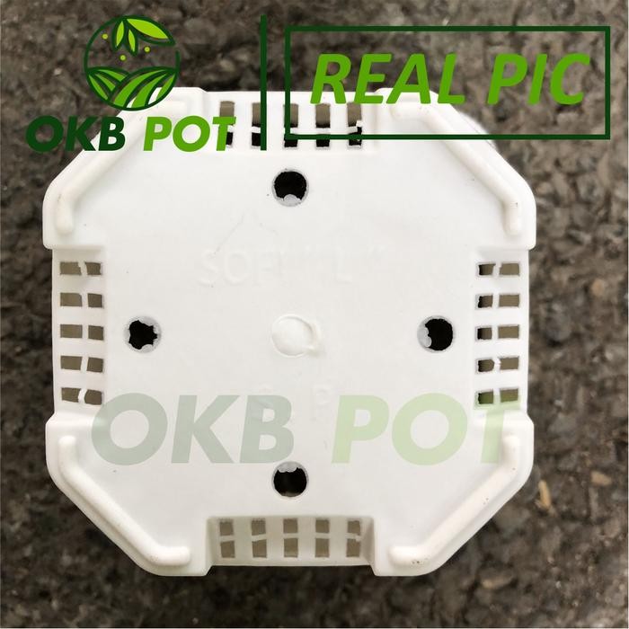 SM- (12pcs) Pot SOFI "L" Putih Pot Tanaman Kotak Bunga Hias Kaktus Pot Sukulen 1 Lusin Pot Hias