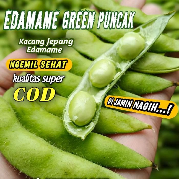 

Pilihan- Kacang Edamame Fres Seger 100% Dari Kebun Asli Kualitas Super Grade A. Organic 1 Kg