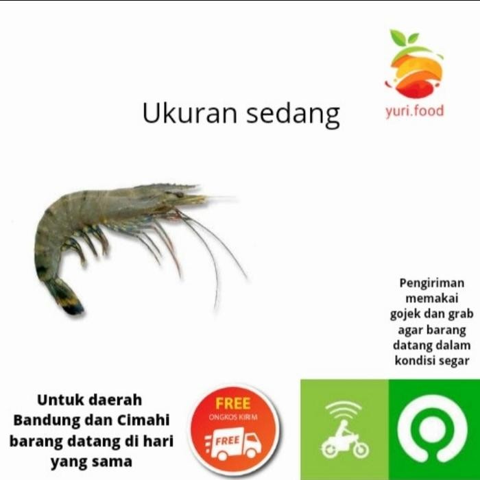 

Pilihan- Udang Segar 250 Gram