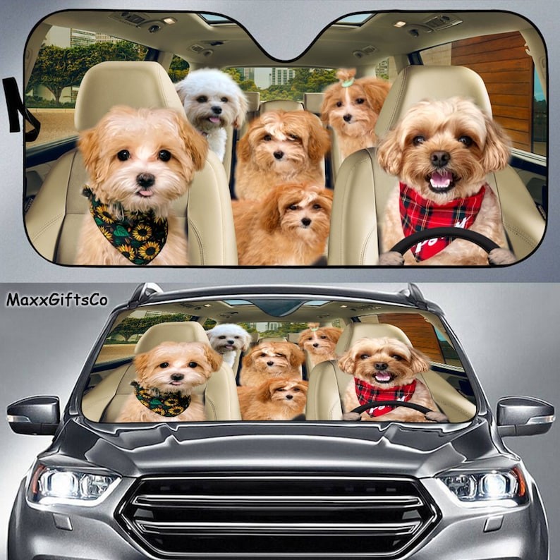 Maltipoo Car Sun Shade, Maltipoo Windshield, Dogs Family Sunshade,