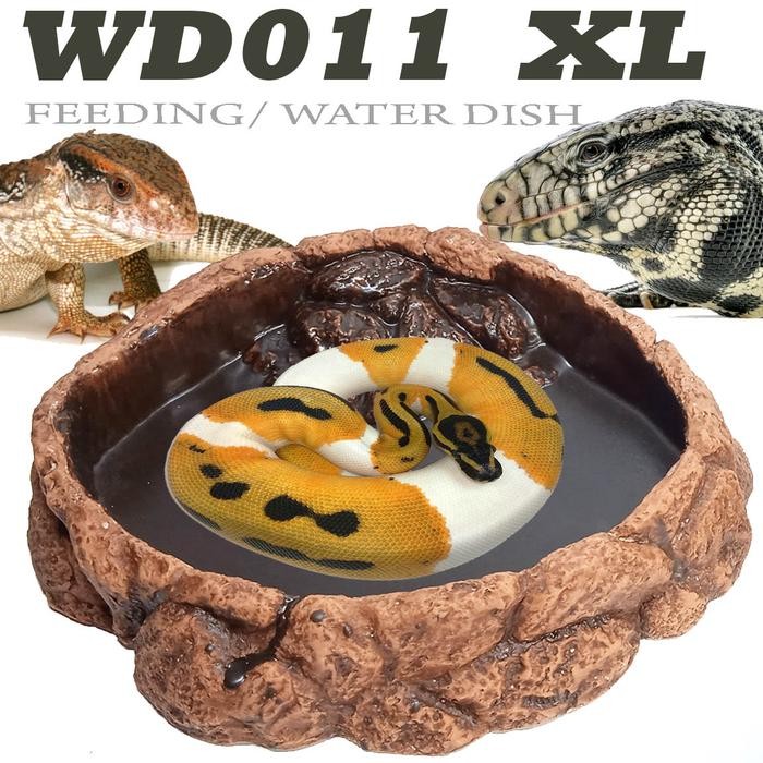 WD011XL WATERDISH WATER FEEDING DISH TEMPAT MAKAN MINUM IGUANA HIJAU BEARDED DRAGON BD DUNNER NAGA