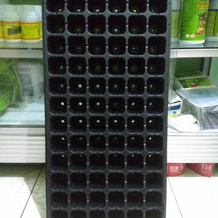 MURAH 2 TRAY SEMAI 72 LUBANG SEMAI BAHAN TEBAL