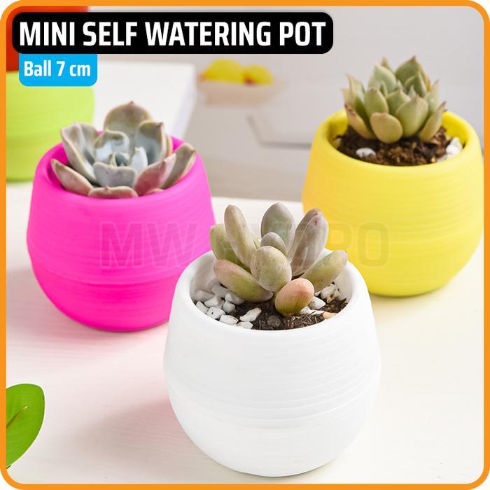 Mini Self Watering Pot, Pot Bulat / Bola, 7 Cm