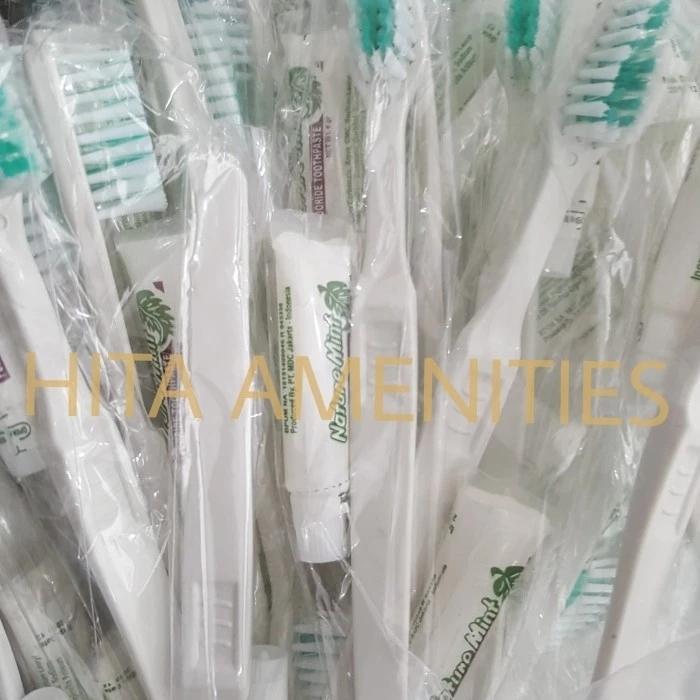 Dental kit / Sikat gigi + Pasta / Box dental kit