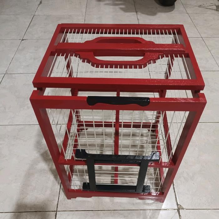 DONGDANG 2PINTU JUMBO BAHAN KAYU JATI FIBER YG DIRANCANG KHUSUS MEMBERI KENYAMANAN PADA MERPATI