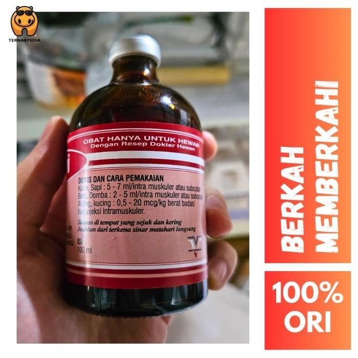 v0w1- Vit B12 Injeksi - Vit B12 Ternak - Vit B12 Untuk Menambah Energi