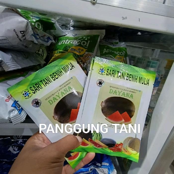 Promo Benih Bibit Semangka Non Biji Tipe Oval Dayana F1 (Tahan Virus Perawatan Mudah) Isi 300 Biji