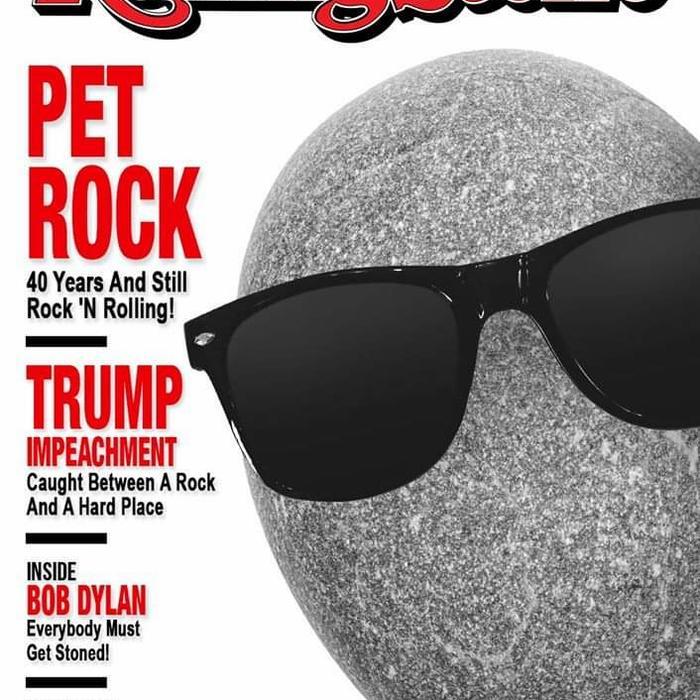 pet rock star