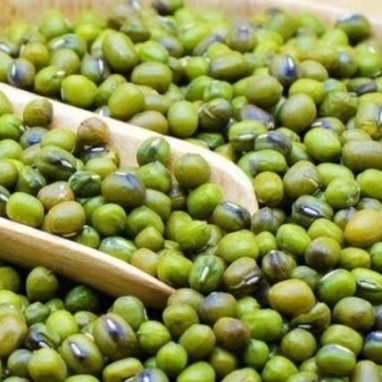 

ASLI Kacang Hijau READY STOCK