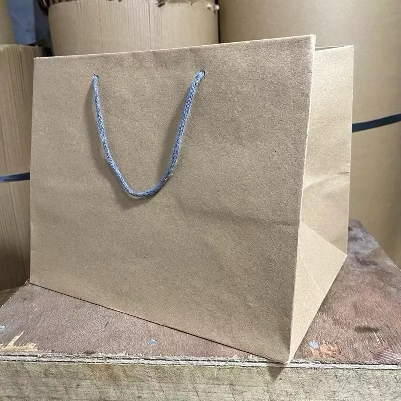 

Paper bag Polos Coklat Ukuran 25x22x26 (paket 12pcs) |Tas Kertas |Tas Kado |Tas Souvenir |Paperbag Custom