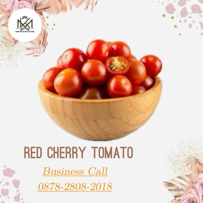 

Pilihan- Tomat Cherry