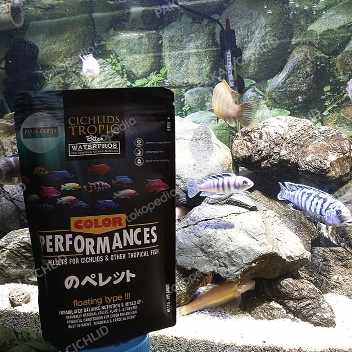 [PAKAN CICHLID] PELET IKAN WATERPROS PUMP PERFORMANCE 185 GRAM