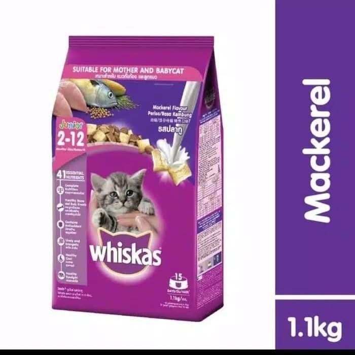 BM880 WHISKAS JUNIOR MAKAREL 1,1KG DRYFOOD/MAKANAN KUCING FREE ONGKIR
