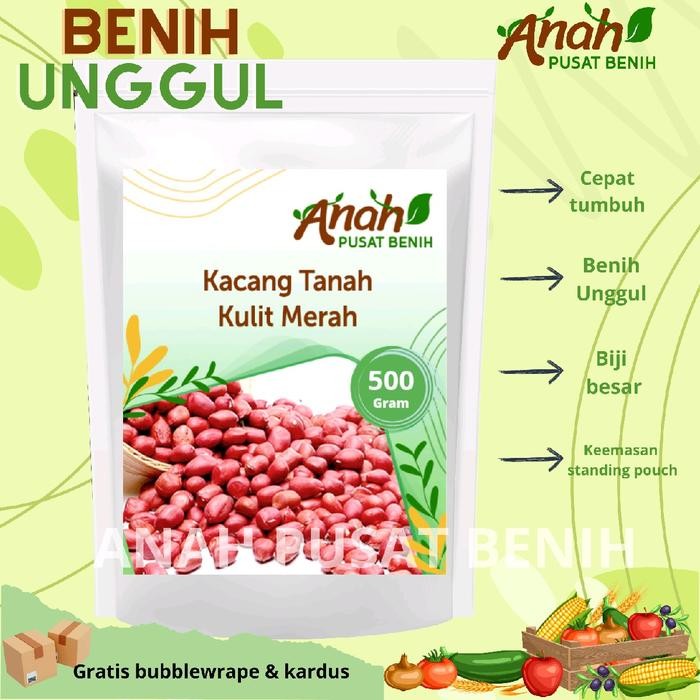 Benih kacang tanah kulit merah 500 gram