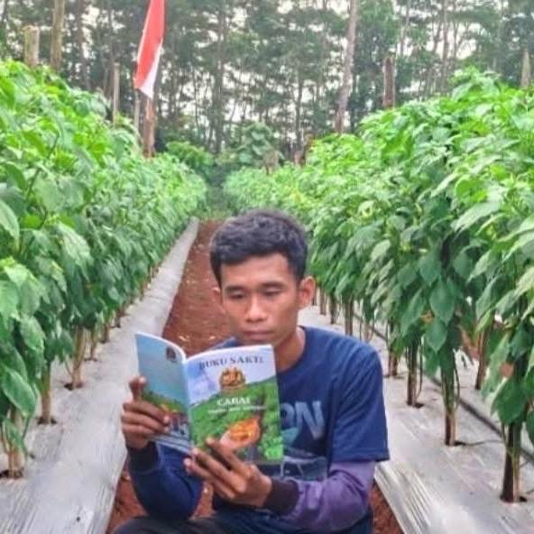 Diskon Buku Sakti Seniman Pertanian - Panduan Lengkap Budidaya Cabe Segala Varietas - Belum Ada