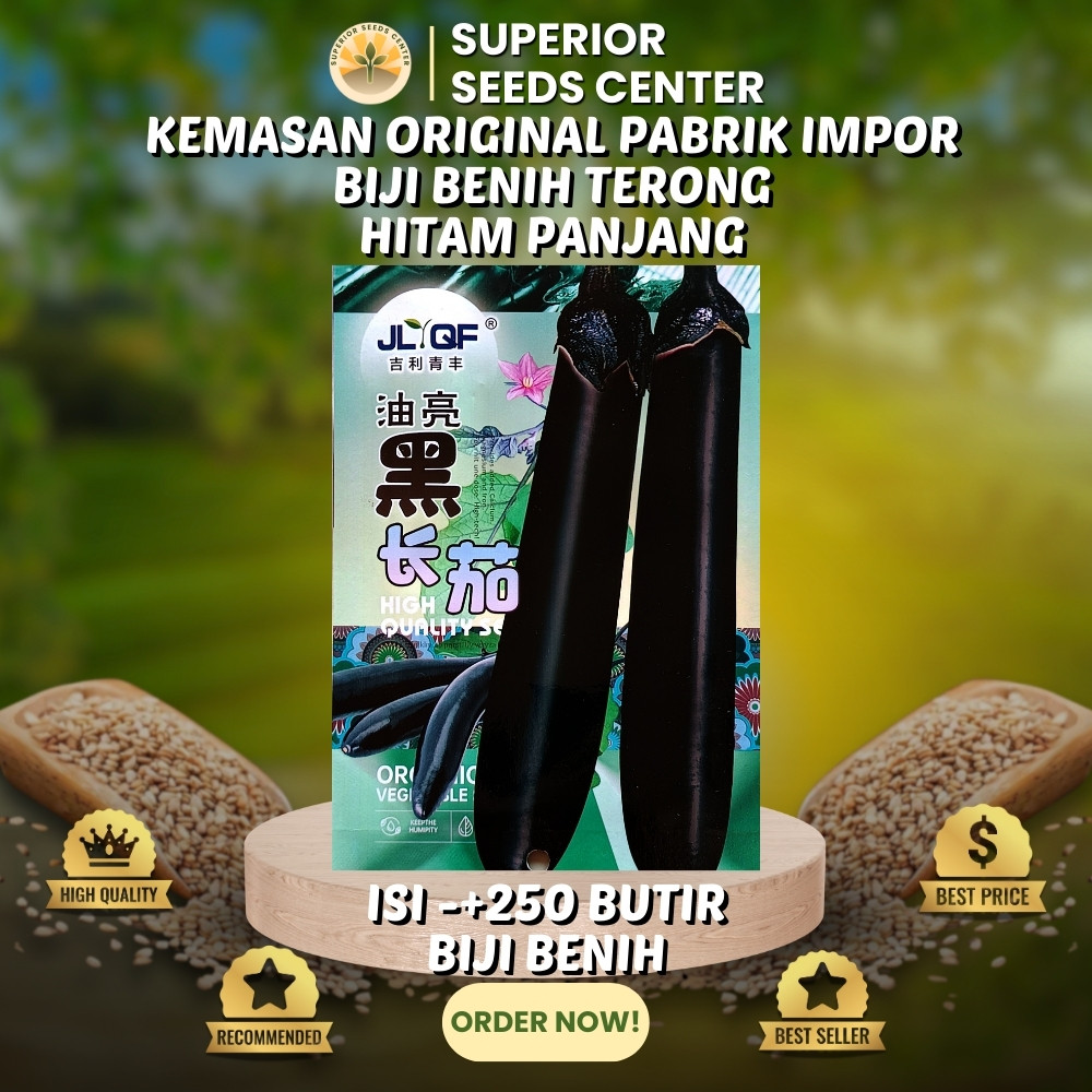 250 Butir Biji Benih Terong Hitam Panjang (Kemasan Original Pabrik Impor)