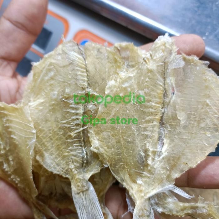 

ASLI Ikan Kapasan Fillet super 250gram READY STOCK