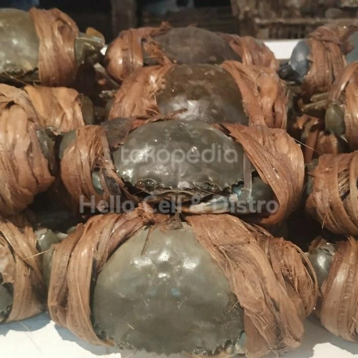 Pilihan- Kepiting Segar Banyak Daging 1.0Kg