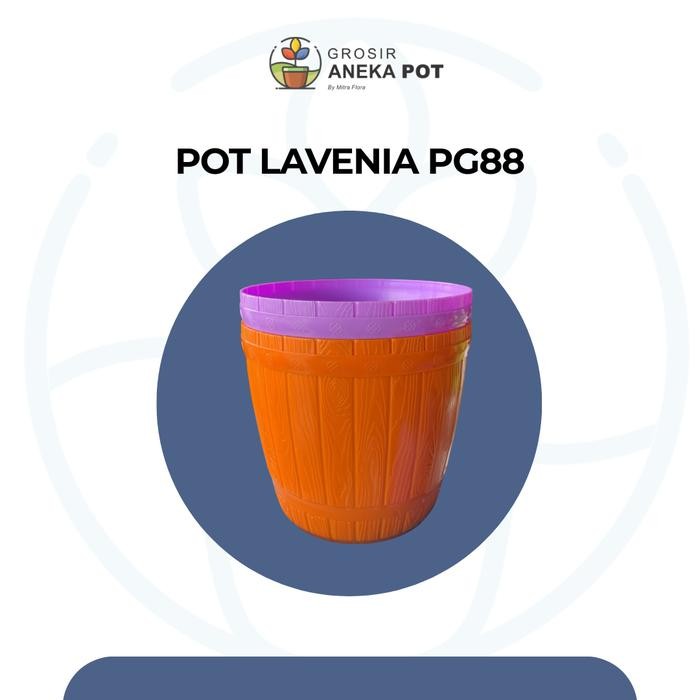 POT GENTONG LAVENIA - Pot Tanaman dan bunga berbahan plastik tebal