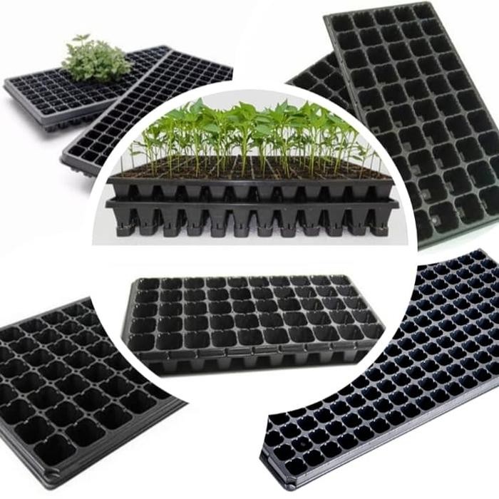 Grosir Tray Semai Lubang 50/72/105/128/200/288 Pembibitan Tanaman