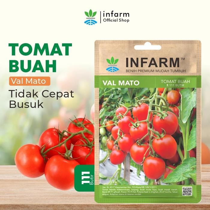 TERLARIS INFARM - Benih Bibit Biji Tomat Buah Valmato Tomat Buah Manis Premium Benih Taan Tomat
