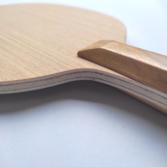 Bet Tenis Meja Gergely Carbon Promo 